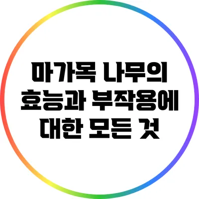 마가목 나무의 효능과 부작용에 대한 모든 것