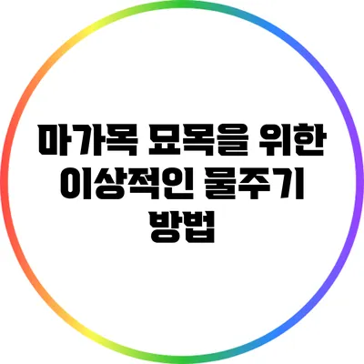 마가목 묘목을 위한 이상적인 물주기 방법
