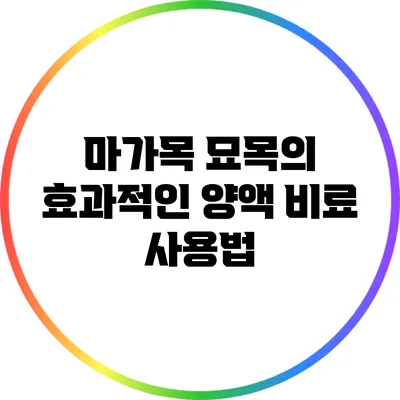 마가목 묘목의 효과적인 양액 비료 사용법