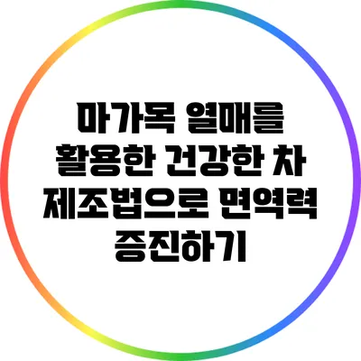 마가목 열매를 활용한 건강한 차 제조법으로 면역력 증진하기
