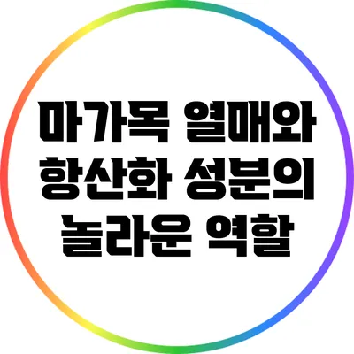마가목 열매와 항산화 성분의 놀라운 역할