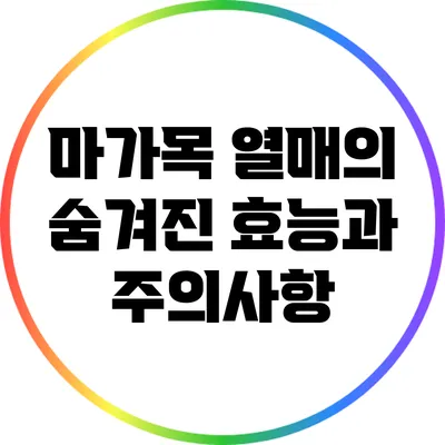 마가목 열매의 숨겨진 효능과 주의사항