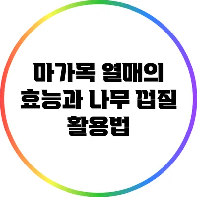 마가목 열매의 효능과 나무 껍질 활용법