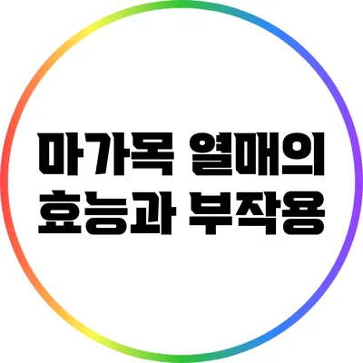 마가목 열매의 효능과 부작용