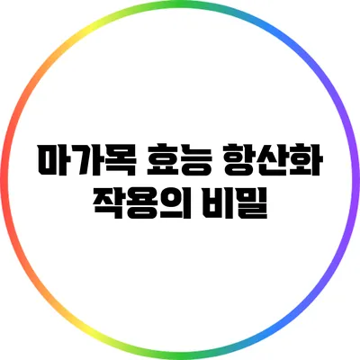 마가목 효능: 항산화 작용의 비밀