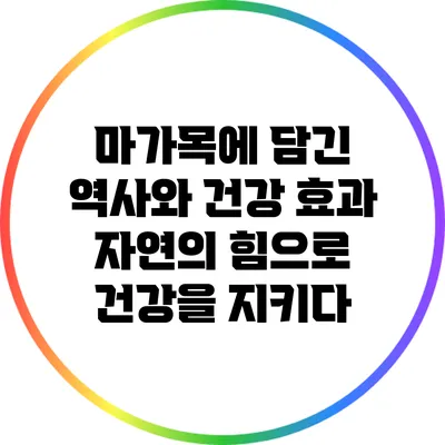 마가목에 담긴 역사와 건강 효과: 자연의 힘으로 건강을 지키다