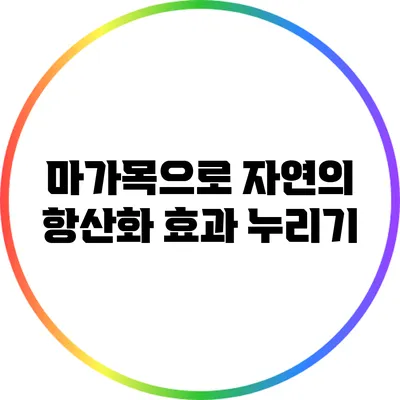 마가목으로 자연의 항산화 효과 누리기
