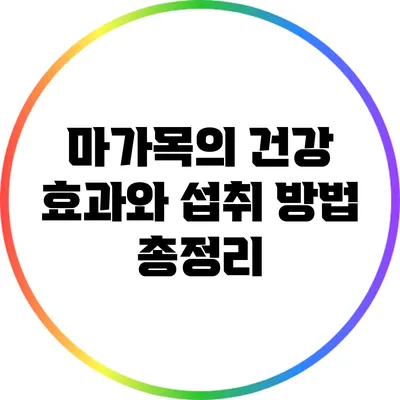 마가목의 건강 효과와 섭취 방법 총정리