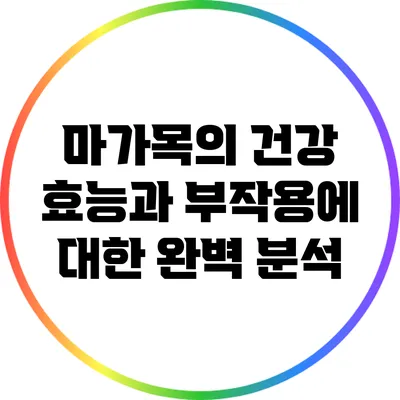 마가목의 건강 효능과 부작용에 대한 완벽 분석
