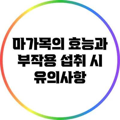마가목의 효능과 부작용: 섭취 시 유의사항