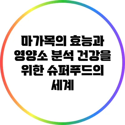 마가목의 효능과 영양소 분석: 건강을 위한 슈퍼푸드의 세계