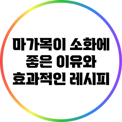 마가목이 소화에 좋은 이유와 효과적인 레시피