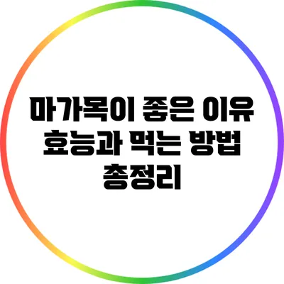 마가목이 좋은 이유: 효능과 먹는 방법 총정리