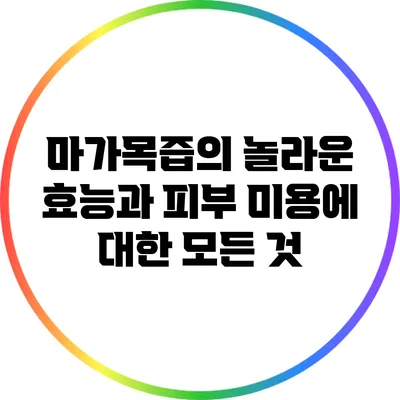 마가목즙의 놀라운 효능과 피부 미용에 대한 모든 것