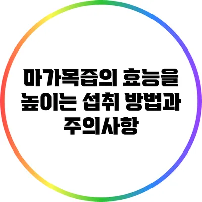 마가목즙의 효능을 높이는 섭취 방법과 주의사항