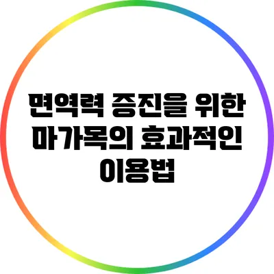 면역력 증진을 위한 마가목의 효과적인 이용법