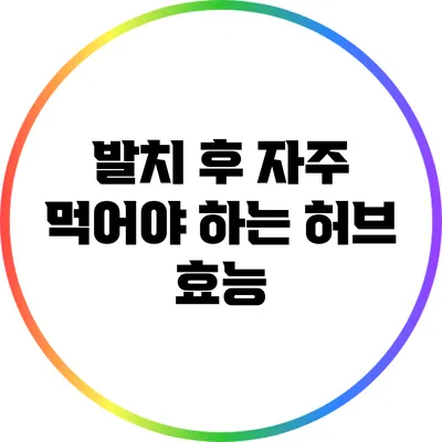 발치 후 자주 먹어야 하는 허브 효능