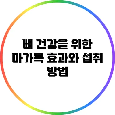뼈 건강을 위한 마가목: 효과와 섭취 방법