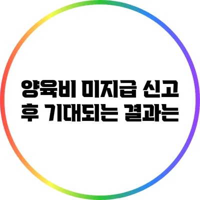 양육비 미지급 신고 후 기대되는 결과는?