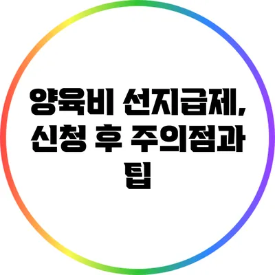 양육비 선지급제, 신청 후 주의점과 팁