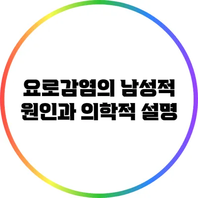 요로감염의 남성적 원인과 의학적 설명
