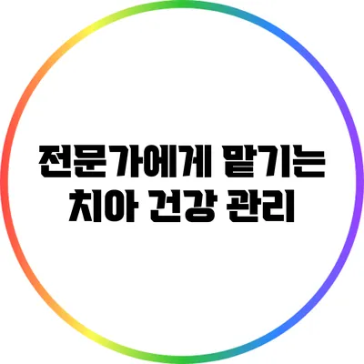 전문가에게 맡기는 치아 건강 관리