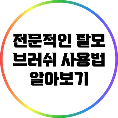 전문적인 탈모 브러쉬 사용법 알아보기