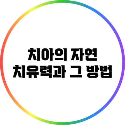 치아의 자연 치유력과 그 방법