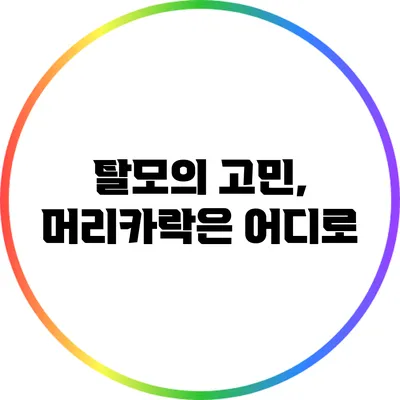 탈모의 고민, 머리카락은 어디로?