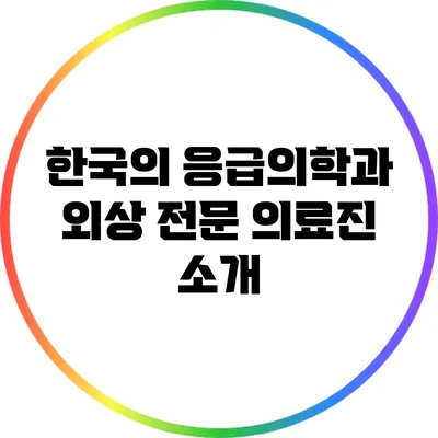 한국의 응급의학과 외상 전문 의료진 소개