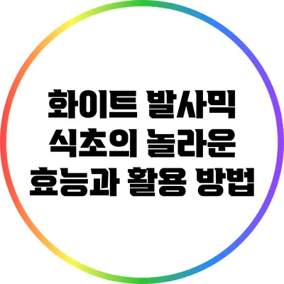 화이트 발사믹 식초의 놀라운 효능과 활용 방법
