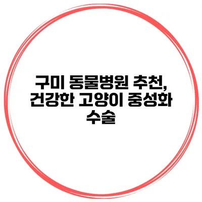 구미 동물병원 추천, 건강한 고양이 중성화 수술