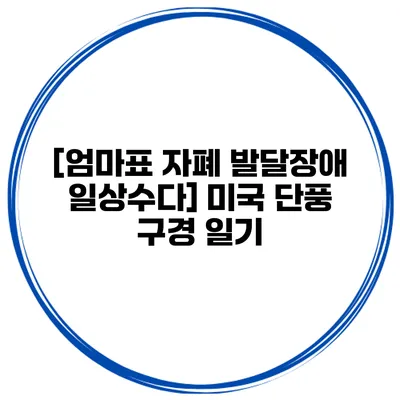 [엄마표 자폐 발달장애 일상수다] 미국 단풍 구경 일기