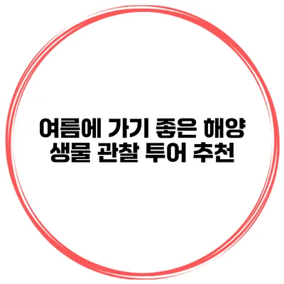 여름에 가기 좋은 해양 생물 관찰 투어 추천