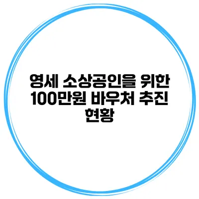 영세 소상공인을 위한 100만원 바우처 추진 현황