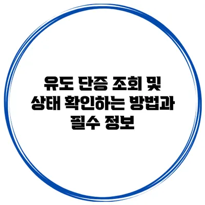 유도 단증 조회 및 상태 확인하는 방법과 필수 정보
