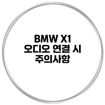 BMW X1 오디오 연결 시 주의사항