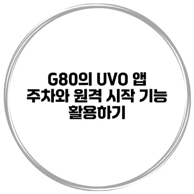 G80의 UVO 앱 주차와 원격 시작 기능 활용하기