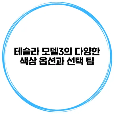 테슬라 모델3의 다양한 색상 옵션과 선택 팁
